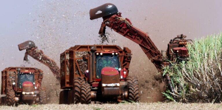 São Martinho registra lucro líquido de R$ 176,41 milhões no 2T25/26