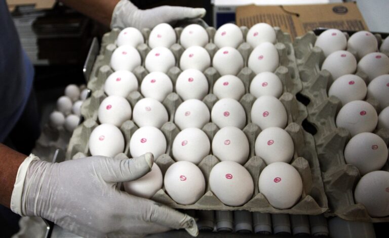 Mantiqueira expande sua presença nos EUA com aquisição da Hickman's Egg Ranch