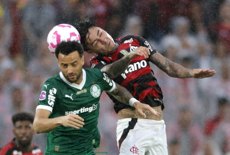 Flamengo e Palmeiras: análise das chances na reta final do Brasileirão