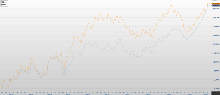 Ações de small caps superam Ibovespa em 2025 com 14 papéis acima de 100% 1 Ações de small caps superam Ibovespa em 2025 com 14 papéis acima de 100%