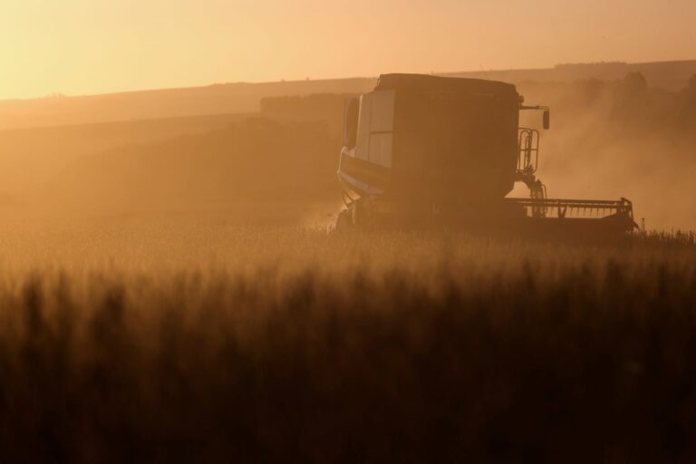 Lavoro avança na recuperação e planeja vender ativos do Crop Care