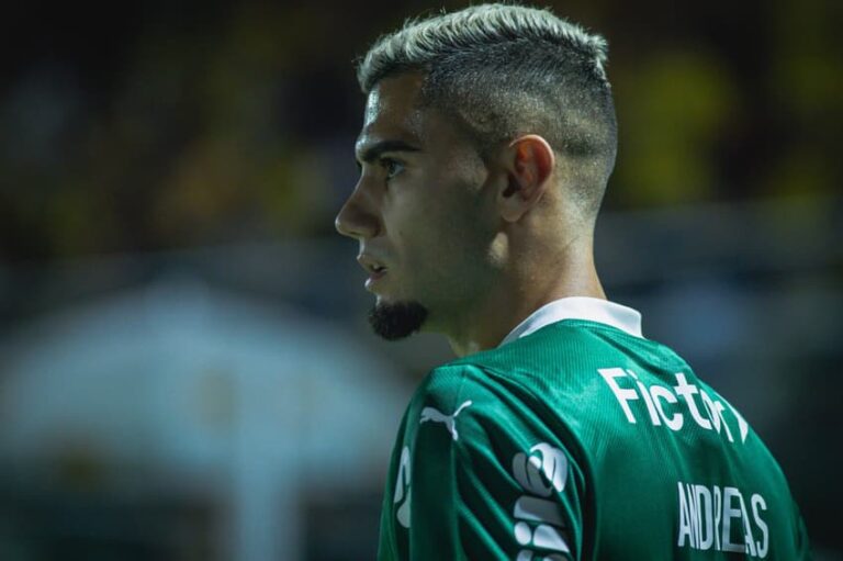 Elenco do Palmeiras tem reforços e Weverton treina com grupo