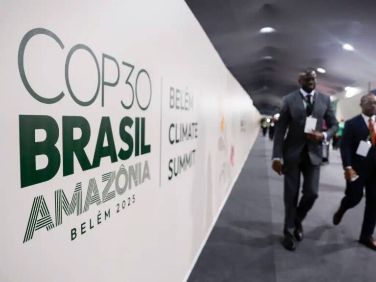 Brasil vive momento promissor para finanças verdes, afirma Fabio Guido do Itaú