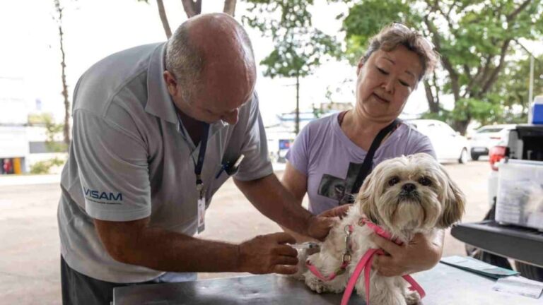 Vacinação contra a raiva chega à Vila Arens em Jundiaí