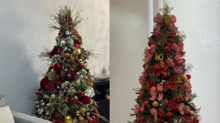 Aluguel de árvores de Natal cresce em Jundiaí e região