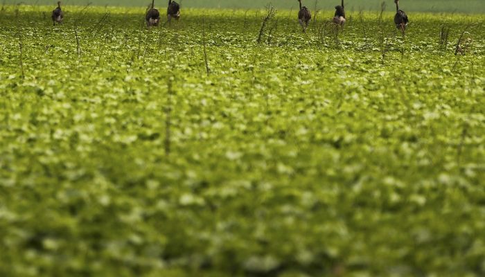 1057808-ebc_07.12.2016-3007_07.12.16.jpg