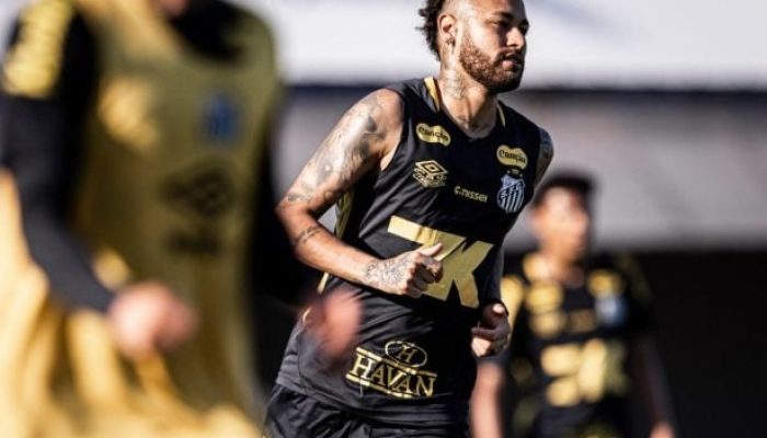 Raul Baretta/ Santos FC