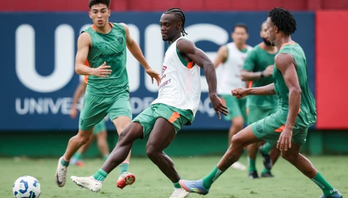 Marcelo Gonçalves / Fluminense FC