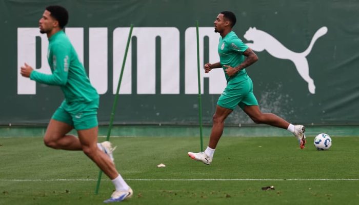 Cesar Greco/Palmeiras/by Canon