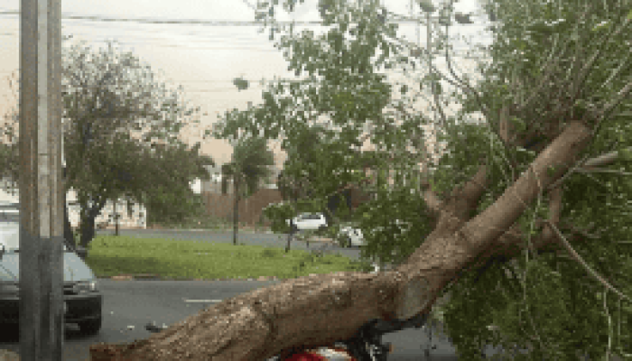 Captura-de-tela-2026-09-06-111014.png