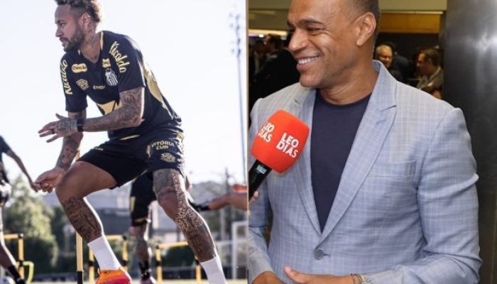 Raul Baretta/Santos FC