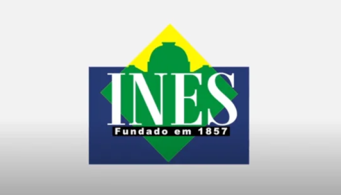 INES-e1591118800329.png