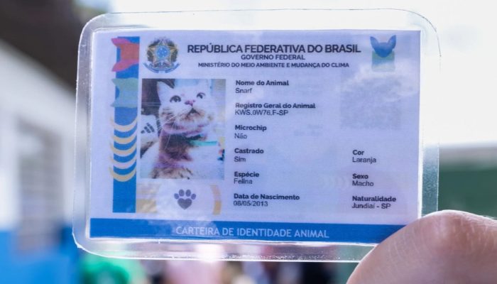 Identificacao-de-pets-em-Jundiai-ganha-forca-no-Abril-Laranja.jpg