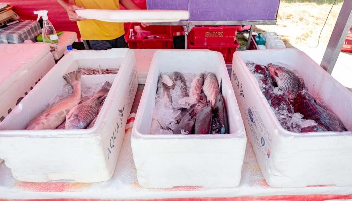 Jundiai-capacita-feirantes-para-garantir-qualidade-dos-pescados.jpg
