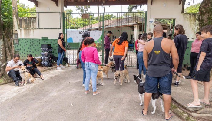 Mutirao-de-castracao-do-DEBEA-reforca-controle-populacional-de-caes-e-gatos-em-Jundiai.jpg