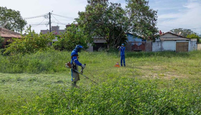 Novo-Horizonte-passa-por-forca-tarefa-de-zeladoria-e-reforco-no-combate-a-dengue.jpg