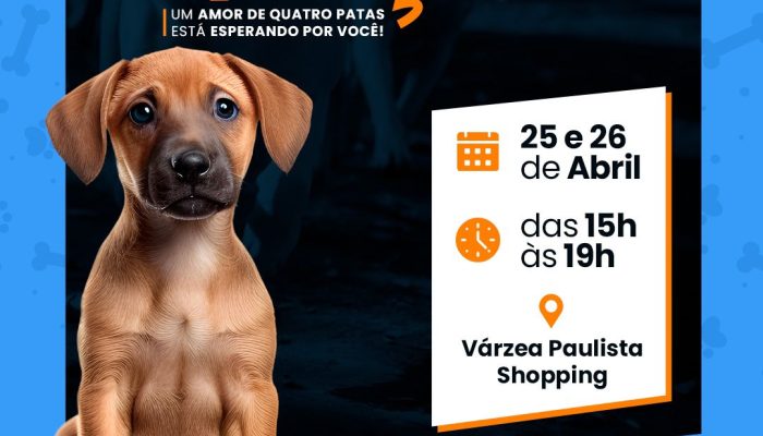 WhatsApp Image 2026-04-17 at 13.53.04