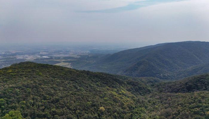 aereas-_-serra-do-japi-_ws-5.jpg