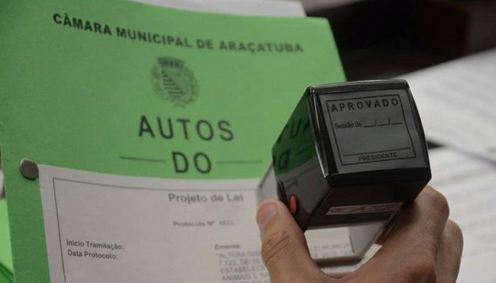 camara-de-aracatuba.jpg