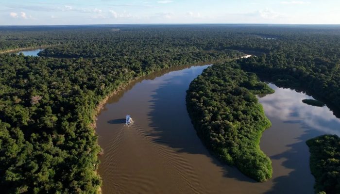 caminhos_da_reportagem_apresenta_reserva_na_amazonia_que_utiliza_o_extrativismo_sustentavel.jpg