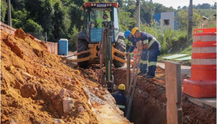 dae-obras-roseira-1.jpg