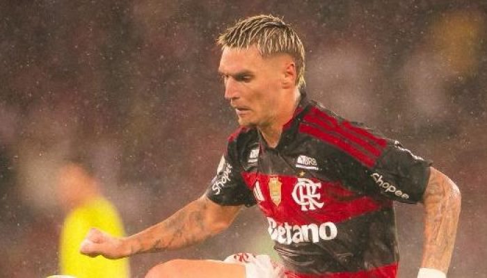 flamengo-fechou-patrocinio-para-o-meiao-com-a-crmbonus-que-estampara-o-produto-torcedor-premiado-178.jpeg