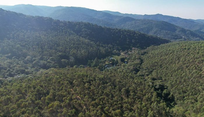 forca_tarefa_fogo_serra_do_japi-1.jpg