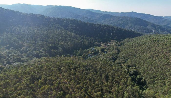 forca_tarefa_fogo_serra_do_japi-1.jpg