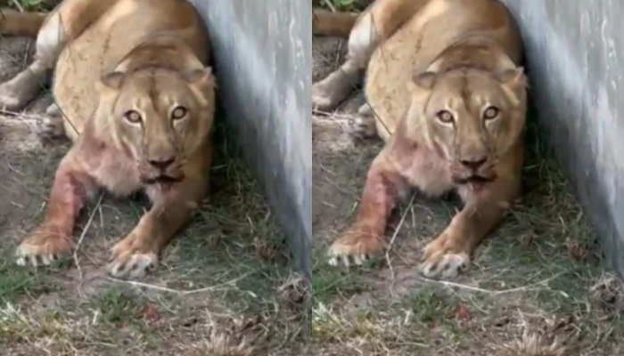 /Kleide Teixeira/PMJP/G1