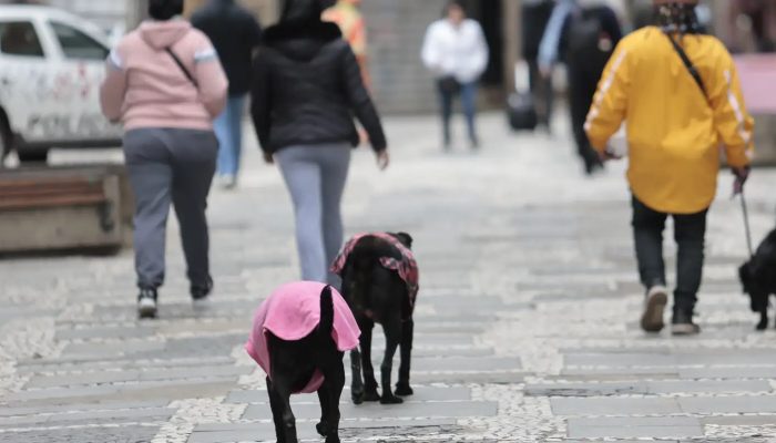 frio_sp01.jpg