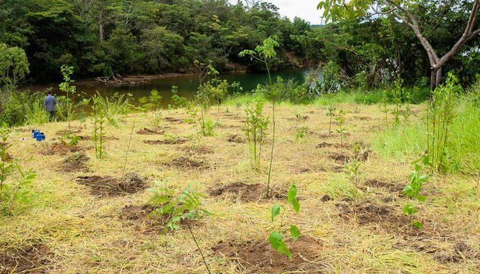 gdf_cria_parque_distrital_da_serrinha.jpg