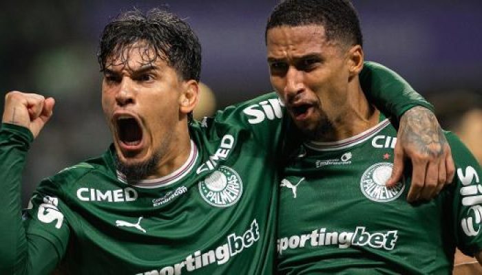 gustavo-gomez-e-murilo-comemoram-gol-do-palmeiras-sobre-o-sao-paulo-em-jogo-do-brasileirao-178925485.jpeg