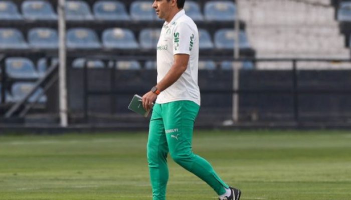 Cesar Greco/Palmeiras