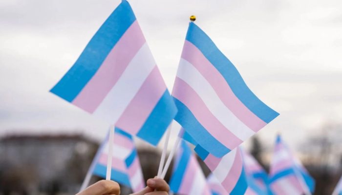 marcha-trans-canva.jpg