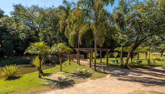 melhorias-praca-do-lago-parque-botanico-tulipas-jundiai-compressed.jpg
