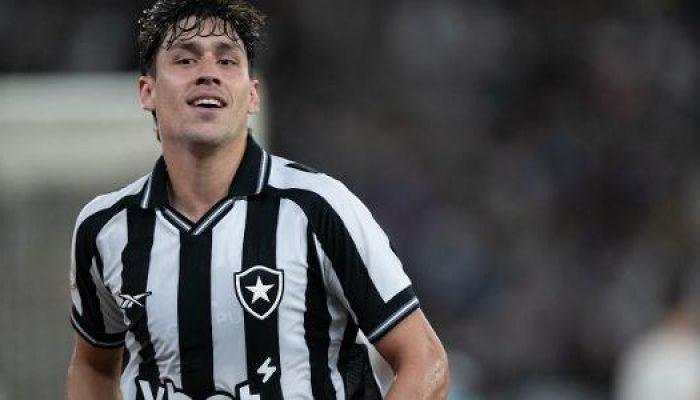 nahuel-ferraresi-e-seu-staff-entraram-em-acordo-por-permanencia-com-o-botafogo-1785216316632_v2_615x.jpeg
