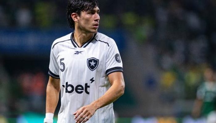 nahuel-ferraresi-em-partida-entre-palmeiras-e-botafogo-no-allianz-parque-pelo-brasileirao-1782279656.jpeg
