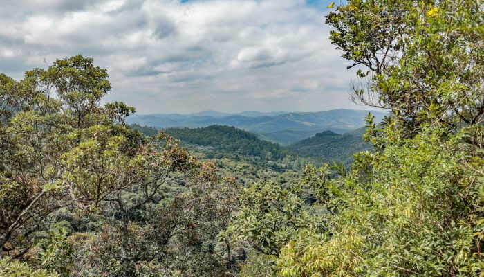 olhos_da_serra_do_japi_v-102.jpg