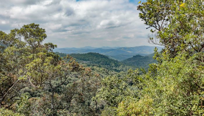 olhos_da_serra_do_japi_v-102.jpg