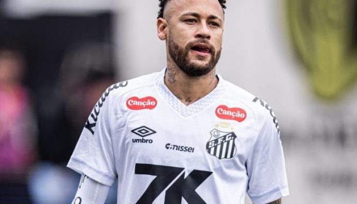 Raul Baretta/ Santos FC