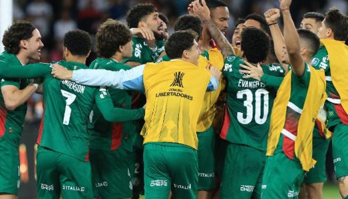 palmeiras-comemora-classificacao-sobre-a-ldu-nos-penaltis-pelas-quartas-da-libertadores-178960472704.jpeg