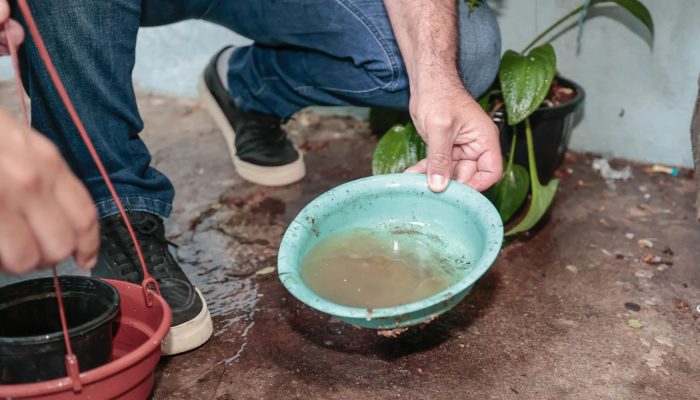 periodo-chuvoso-mantem-alerta-contra-a-dengue-em-Jundiai.jpg