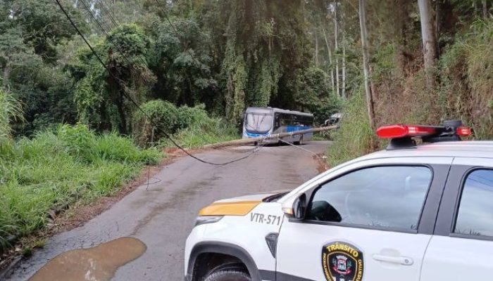 poste-campo-limpo.jpg