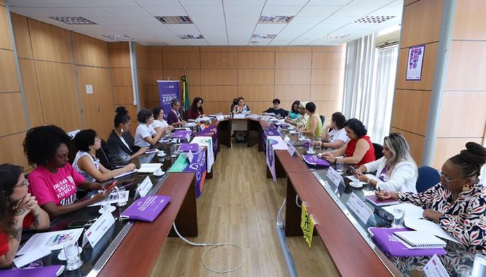 reuniao_ministerio_das_mulheres.jpeg