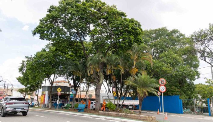 revitalizacao-vila-rio-branco-paisagismo-jundiai-compressed.jpg