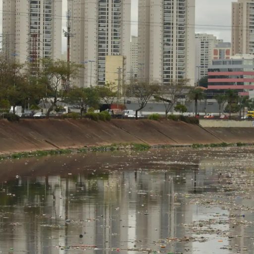 Rio Tietê enfrenta contaminação total, aponta SOS Mata Atlântica.