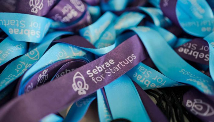 startup-sebrae-compressed.jpg