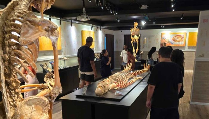 visita-museu-corpo-humano-compressed.jpg